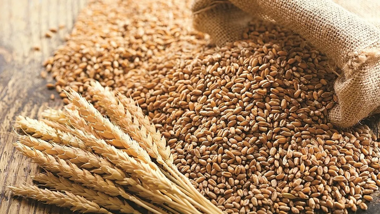 buğday taban fiyatı en az 7 bin lira olmalı'