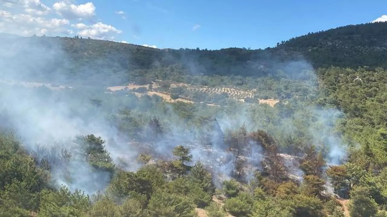 İzmir'de orman yangını: Müdahale başladı, izmir haberleri, yangın haberleri, orman yangını, bergama haberleri,
