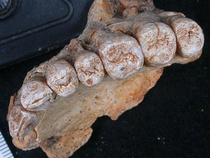 Afrika dışındaki en eski insan fosili bulundu - Resim : 1