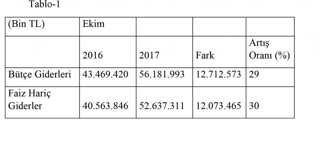 ​2017 bütçesi de umut vermiyor - Resim : 1