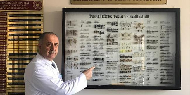 Türk profesör böceğin adını 'Bahattin' koydu - Resim : 1