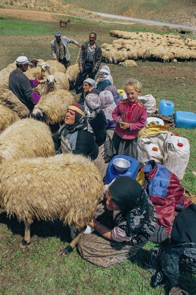 Ağrı Dağı Efsanesi- İshak Paşa Sarayı - Resim : 3