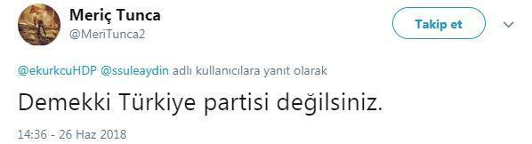 Kürkçü'nün tweeti HDP'ye oy veren CHP'lileri kızdırdı! - Resim : 7
