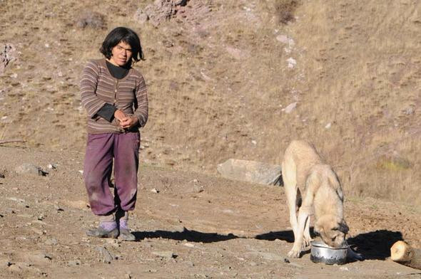 Erzincan’da kabile hayatı yaşayan aile: Bugüne kadar devletle hiç görüşmedik - Resim : 9