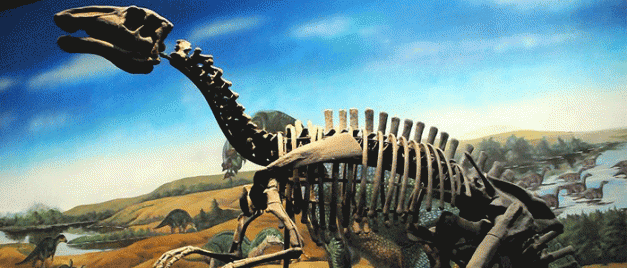 Diş döken dinozor türü keşfedildi - Resim : 1