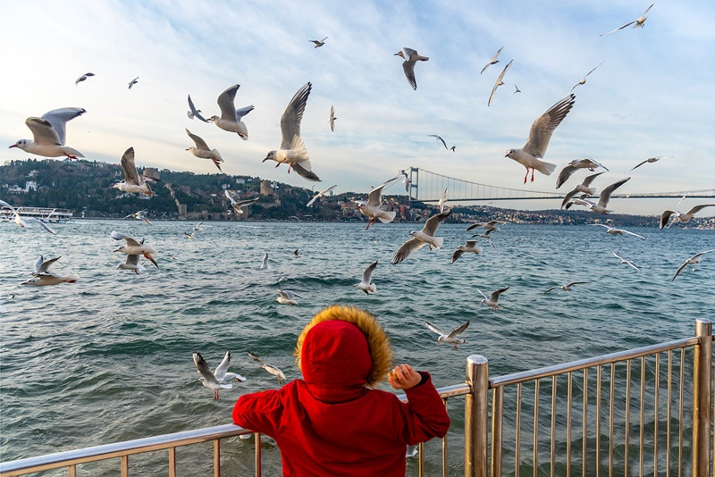 Uçun kuşlar uçun sılaya doğru... - Resim: 2