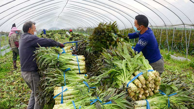 1.4 milyar Çinli koronavirüsle mücadele ediyor - Resim: 7