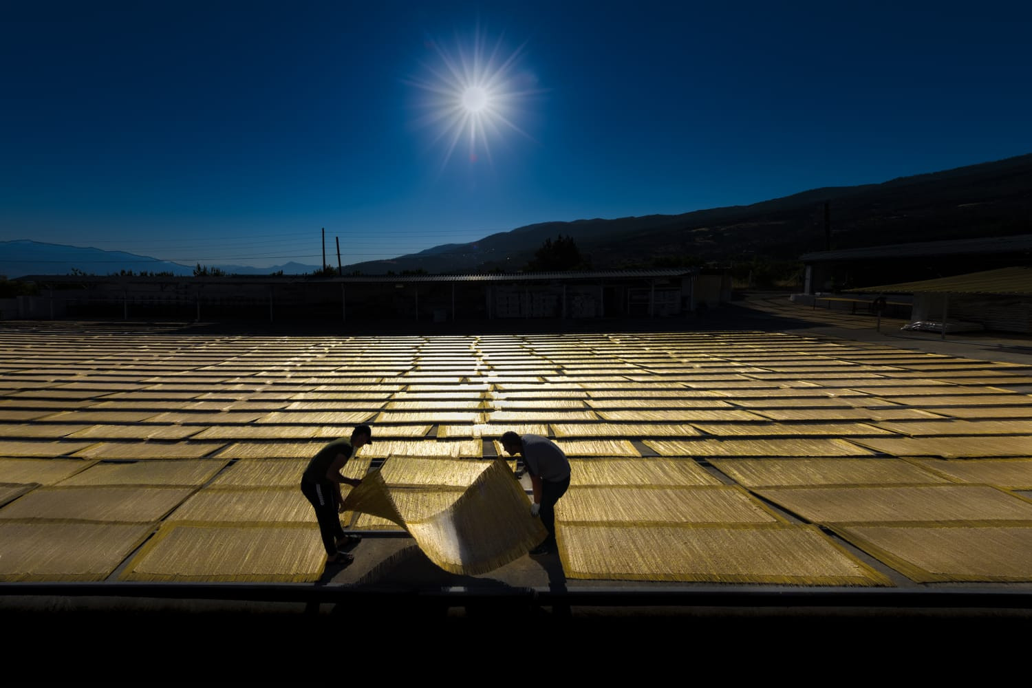 Dilek Uyar National Geographic'te mart ayının fotoğrafçısı seçildi - Resim: 1