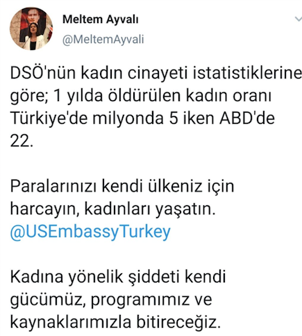 Öncü Kadın'dan ABD'ye: Paranızı kendi ülkeniz için harcayın - Resim: 1