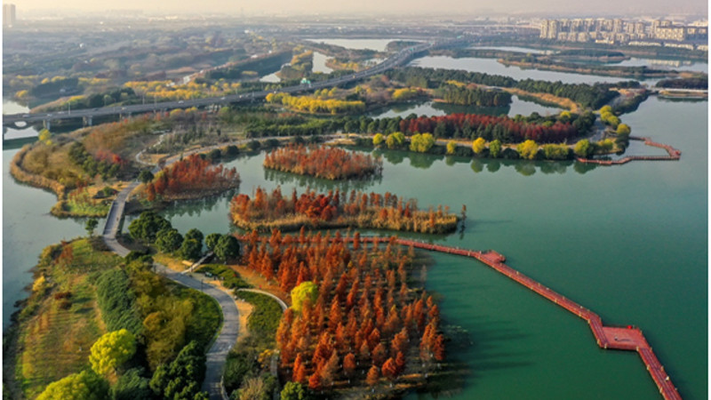 Çin 13. Beş Yıllık Plan döneminde 700'den fazla doğal rezerv artırıldı - Resim: 1