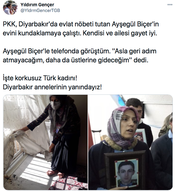 PKK tarafından evi kundaklanan anne: Geri adım atmayacağım - Resim: 1