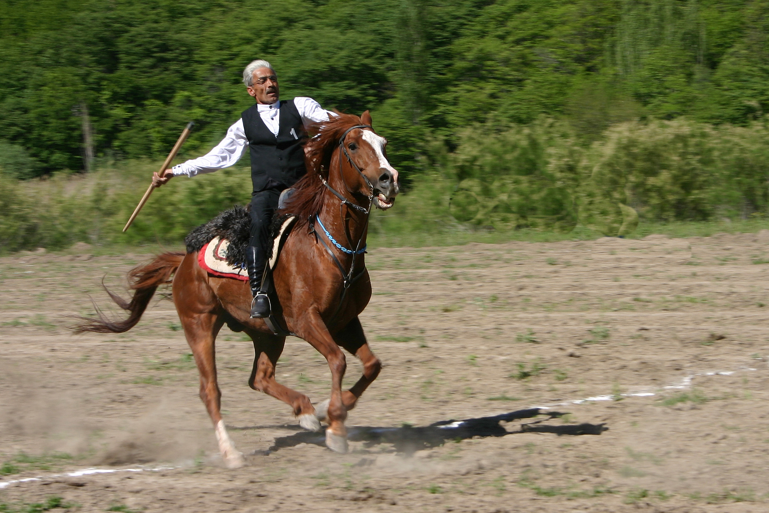 İşte size, fotoğrafın Nadir Hocası - Resim: 2