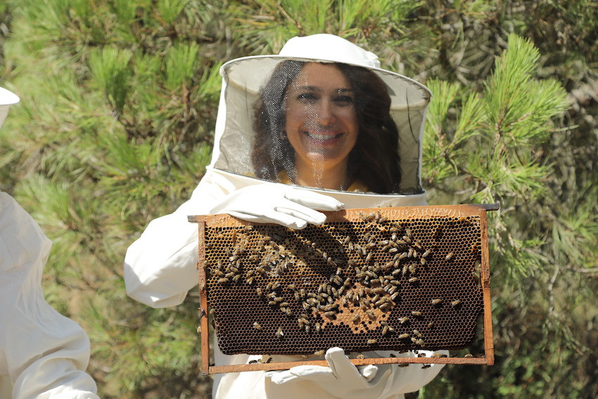 Türkiye’nin en büyük 'propolis' üreticisinden tüketicilere mesaj - Resim: 1