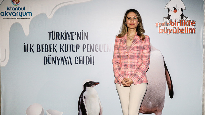 Türkiye'nin ilk bebek kutup pengueni İstanbul'da dünyaya geldi - Resim: 3