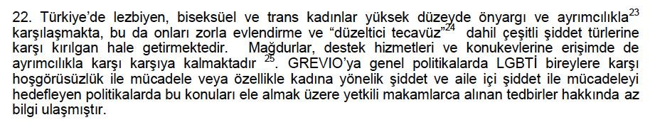 17 maddede İstanbul Sözleşmesini savunanların çelişkisi - Resim: 6