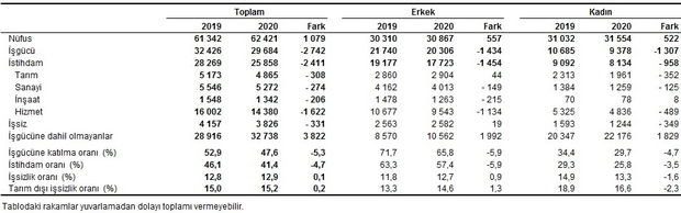 Mayıs ayı işsizlik rakamları açıklandı - Resim: 2