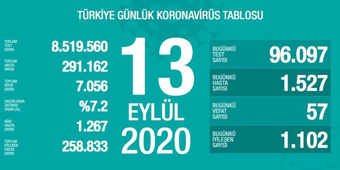 Günlük koronavirüs verileri açıklandı - Resim: 1