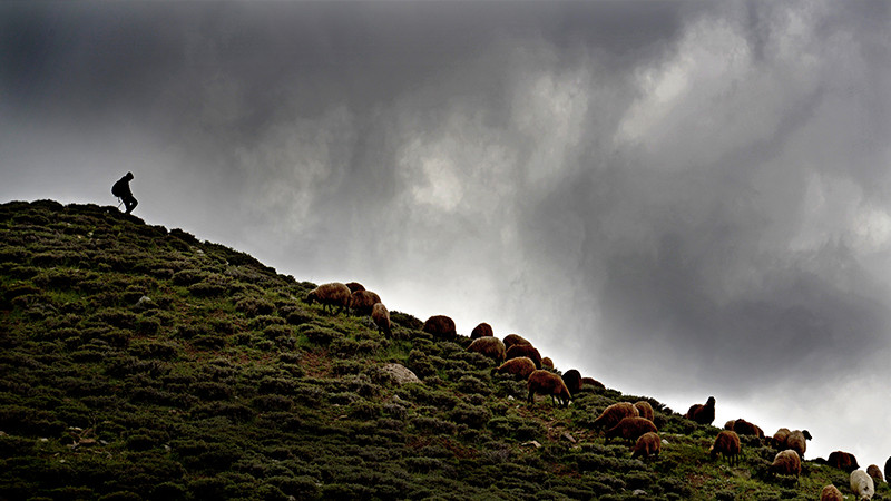 Aykut Fırat; bütün ömrünün adı fotoğraf, sanat... - Resim: 3