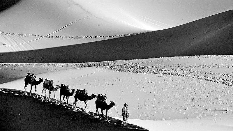 Aykut Fırat; bütün ömrünün adı fotoğraf, sanat... - Resim: 2