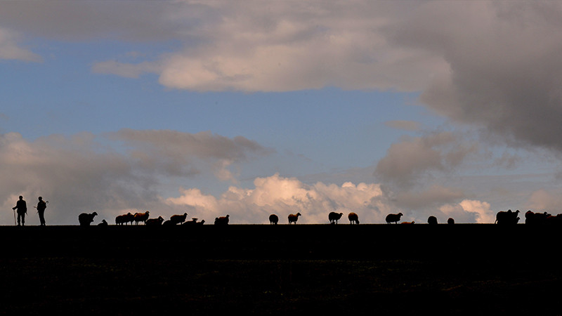 Aykut Fırat; bütün ömrünün adı fotoğraf, sanat... - Resim: 4