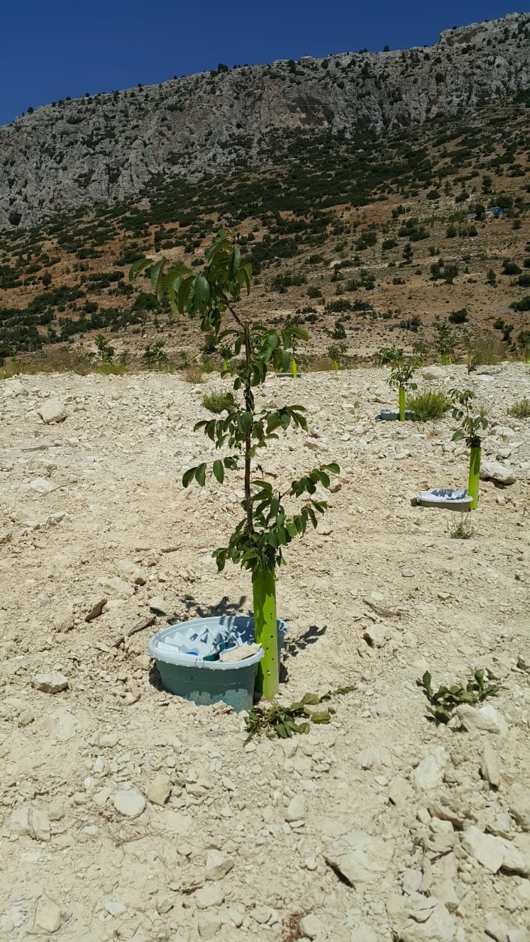 Bitki Destek Üniteleri su kaybını önleyecek - Resim: 1