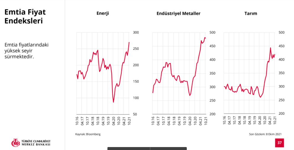 Emtia fiyatları enflasyonu körükleyebilir AMB: Ciddiye alın TCMB: Yükseliş geçici - Resim: 2