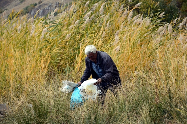 Nemrut'un 48 yıllık gönüllü bekçisi - Resim: 1