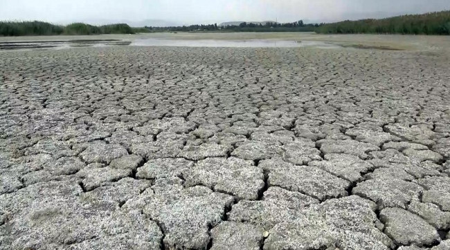 Van Gölü'nün çekildiği alanlar tarım arazilerine dönüştü - Resim: 1