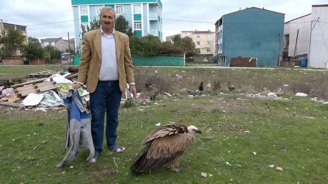 Arnavutköy'de 'kızıl akbaba' bulundu - Resim: 1