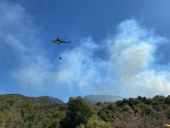 Antalya'da makilik alanda yangın - Resim: 1