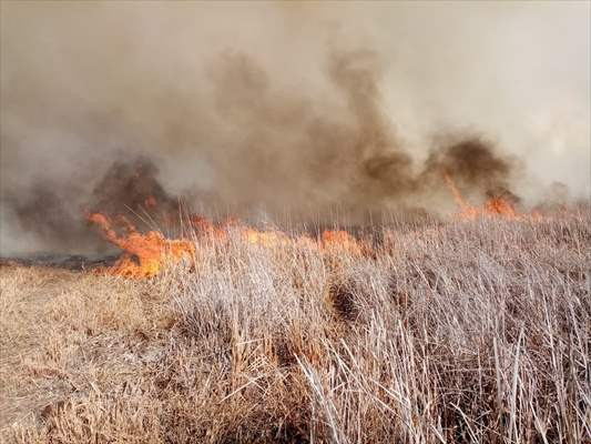 Eber Gölü çevresindeki sazlık alanda yangın çıktı - Resim: 1