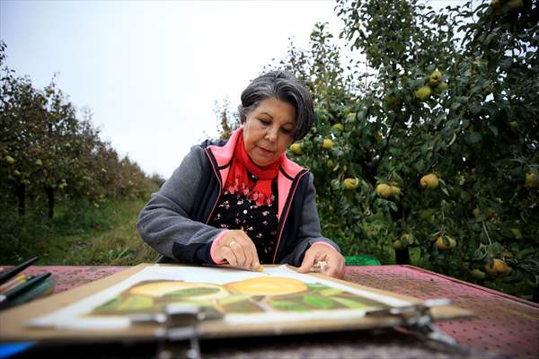 Köyün 'enstitülü' meyve üreticisi kadının resim merakı - Resim: 3
