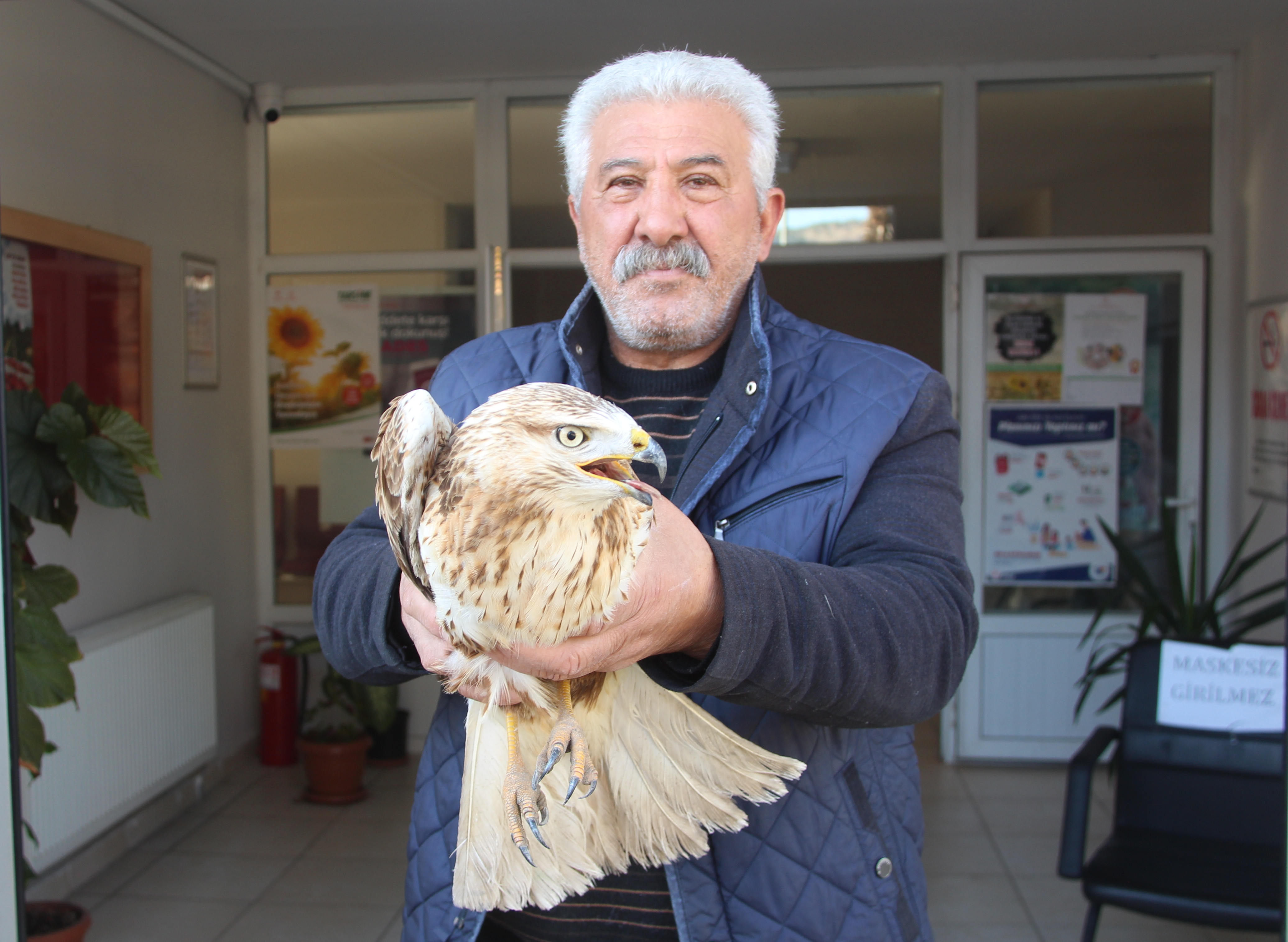 Amasya'da yol kenarında bulunan yaralı şahin tedavi edilecek - Resim: 1