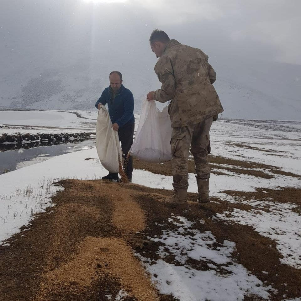 Mehmetçik ve doğa koruma görevlileri yaban hayvanları için doğaya yem bıraktı - Resim: 2