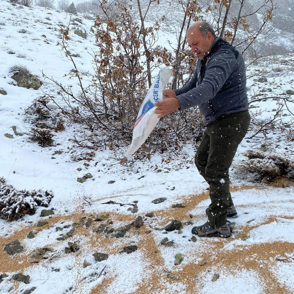 Mehmetçik ve doğa koruma görevlileri yaban hayvanları için doğaya yem bıraktı - Resim: 5