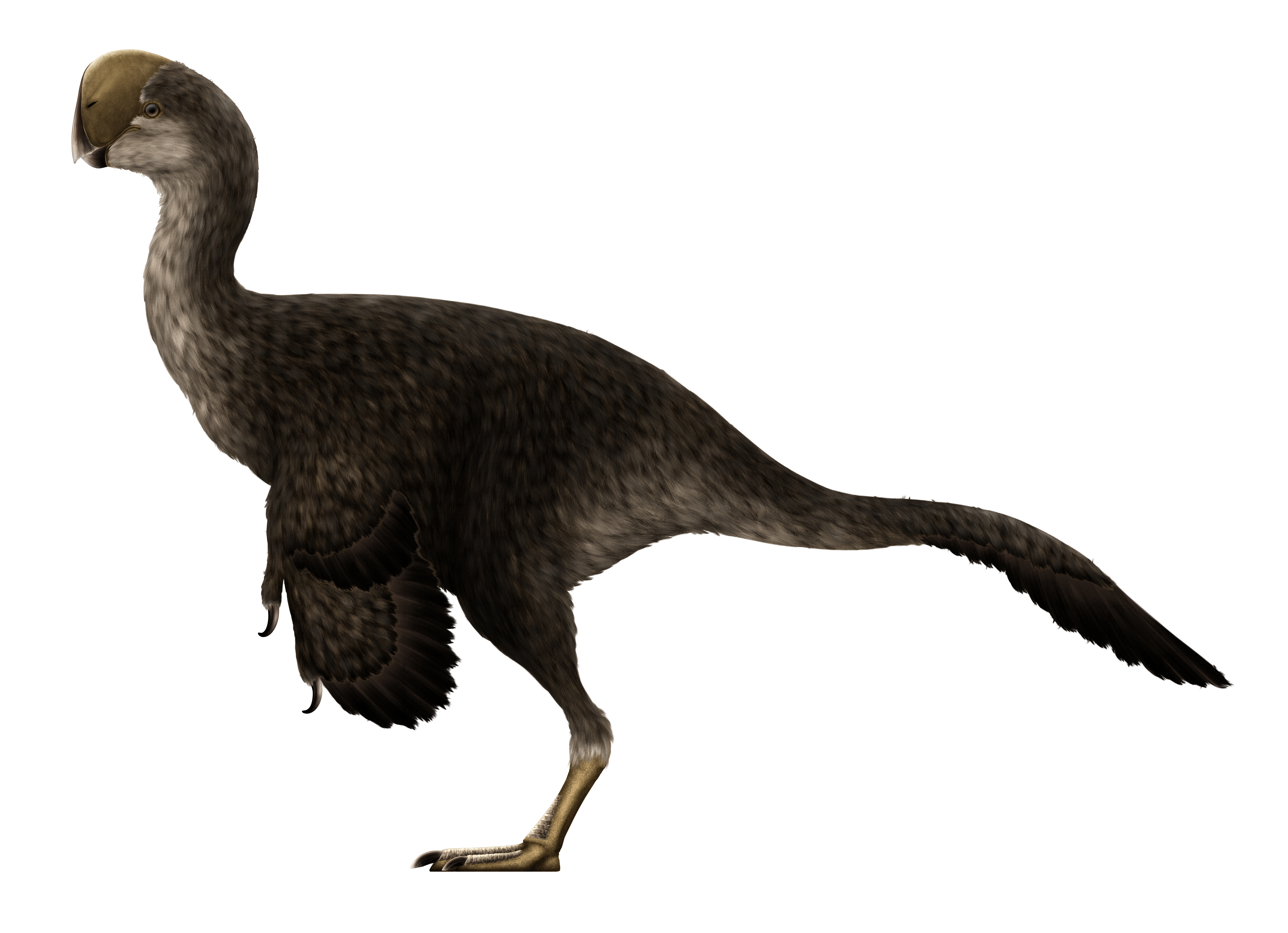 Dinozorlar sandığımızdan daha fazla kuş - Resim: 2