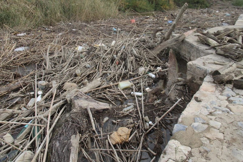 Menderes'te binlerce balık öldü - Resim: 1