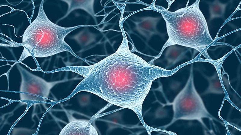 ALS'de hasta nöronlarını iyileştiren molekül - Resim: 1