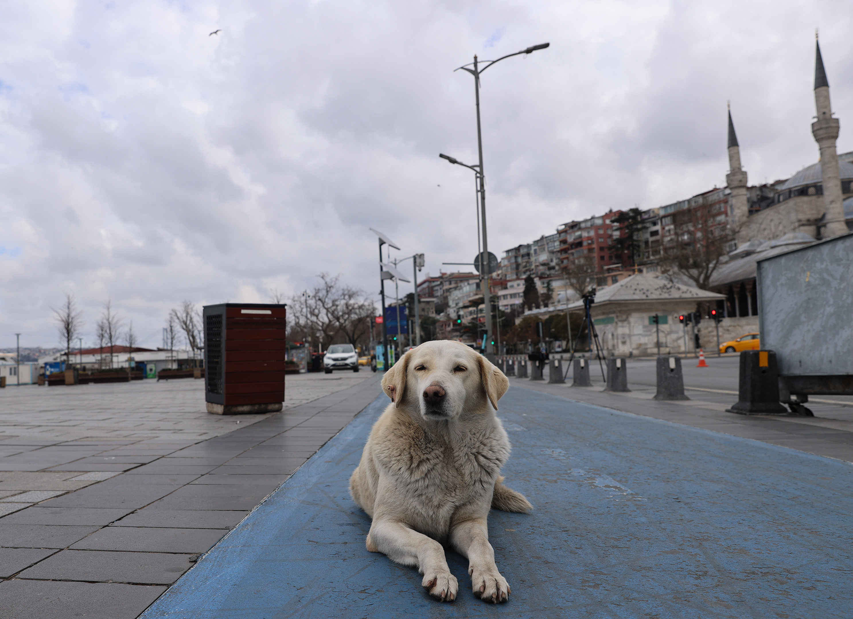 İstanbul'da sokaklarında kısıtlama sessizliği - Resim: 1