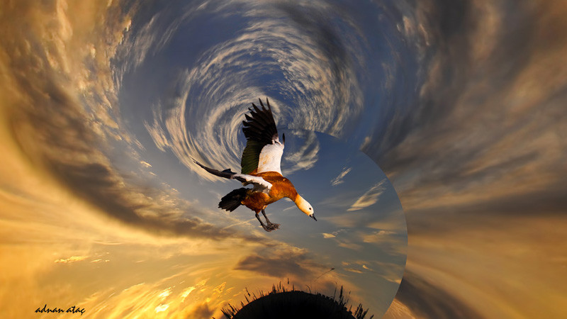 Türk fotoğrafının duayeni Adnan Ataç - Resim: 1