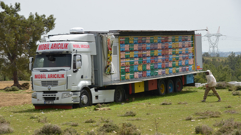 Toroslarda konuşlandırdığı "mobil arı tırı" ile organik bal üretiyor - Resim: 1