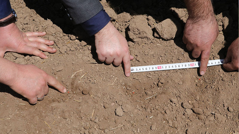 Yozgat'ta şeker pancarı tohumları toprakla buluştu - Resim: 1