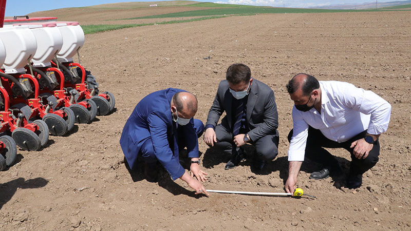 Yozgat'ta şeker pancarı tohumları toprakla buluştu - Resim: 2