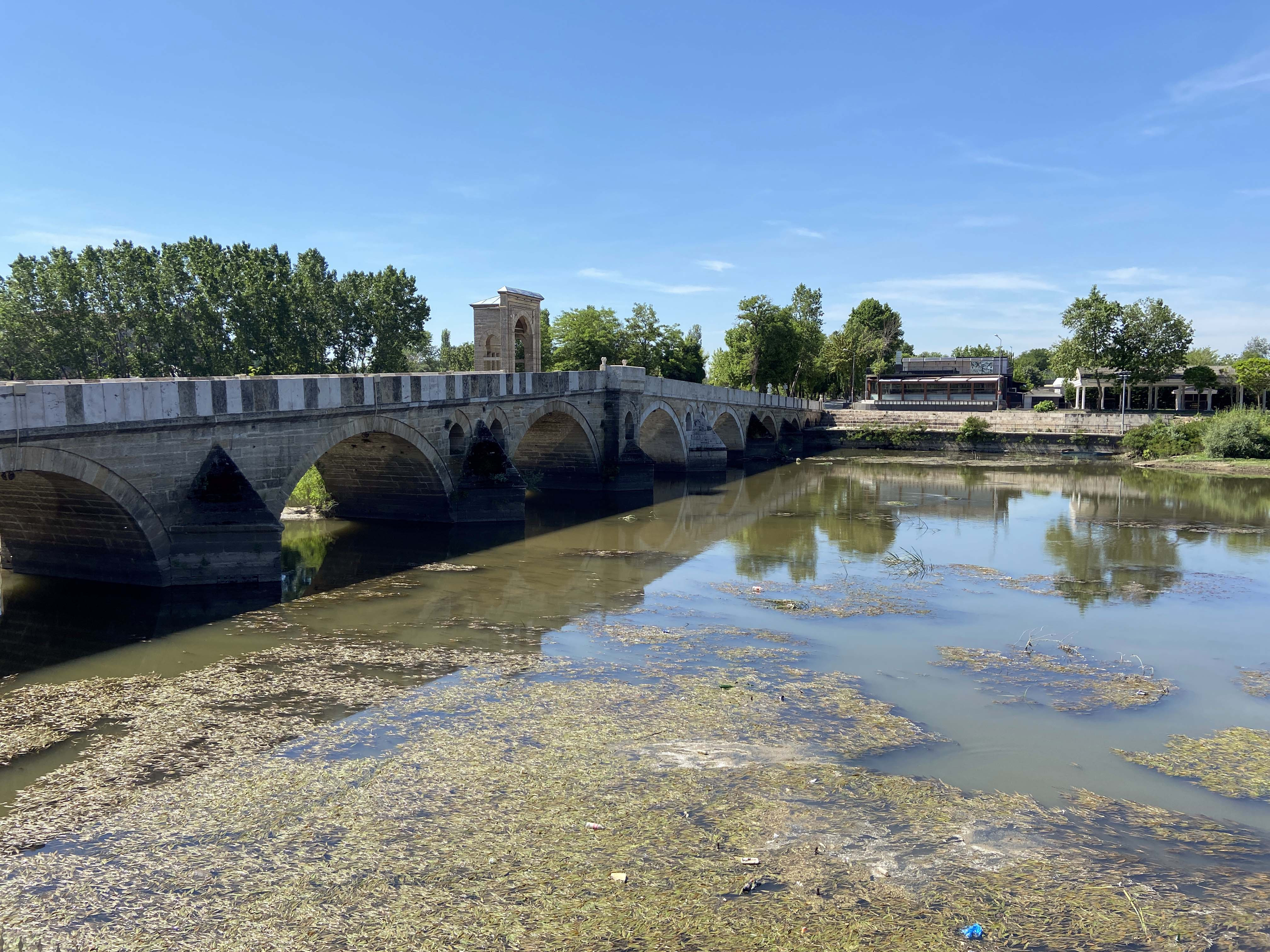 Su seviyesi azalan Tunca Nehri'nden görüntüler - Resim: 2