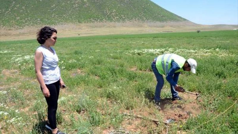 Nemrut Dağı eteklerinde jeotermal seracılık - Resim: 1