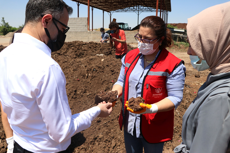 Topraktan toprağa organik gübre - Resim: 2