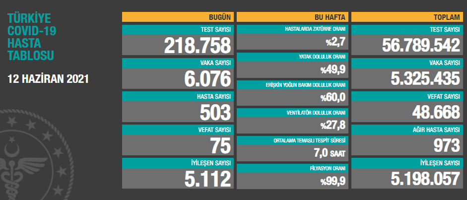 12 Haziran koronavirüs tablosu açıklandı - Resim: 1