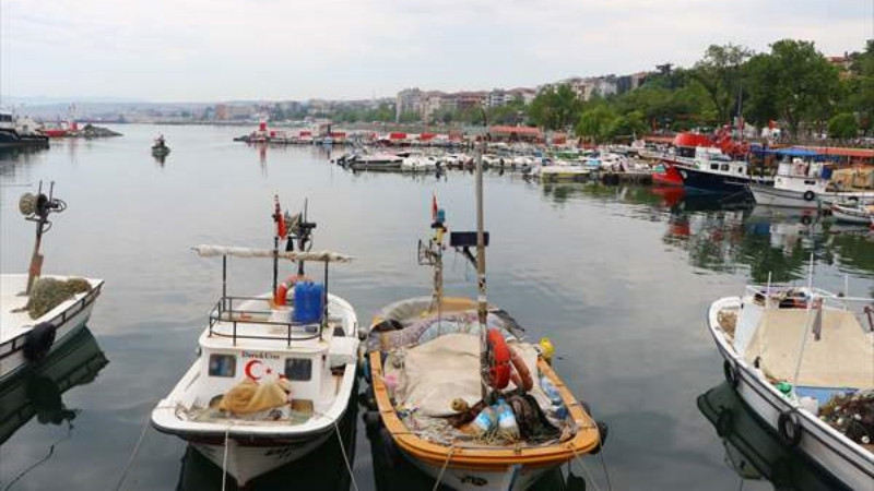 Tekirdağlı balıkçılar müsilaj nedeniyle avlanamıyor - Resim: 2