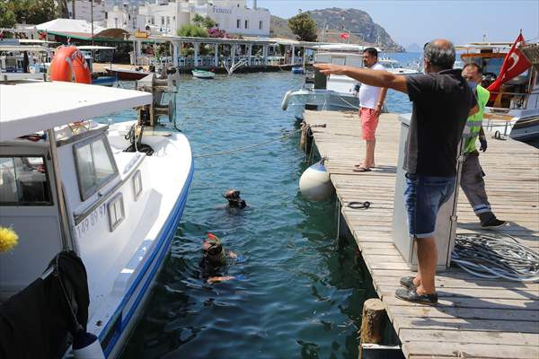 Bodrum'da dalgıçlar deniz dibi temizliği yaptı - Resim: 2