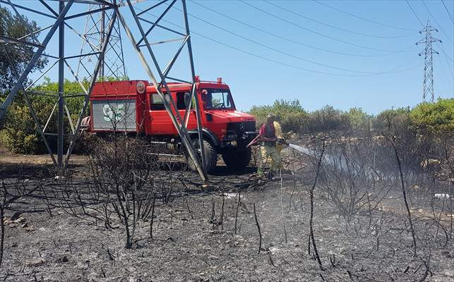 İzmir'de ağaçlandırma sahasında yangın - Resim: 1